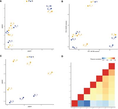 Integrative Analysis of Small RNA and mRNA Expression Profiles Identifies Signatures Associated With Chronic Epididymitis